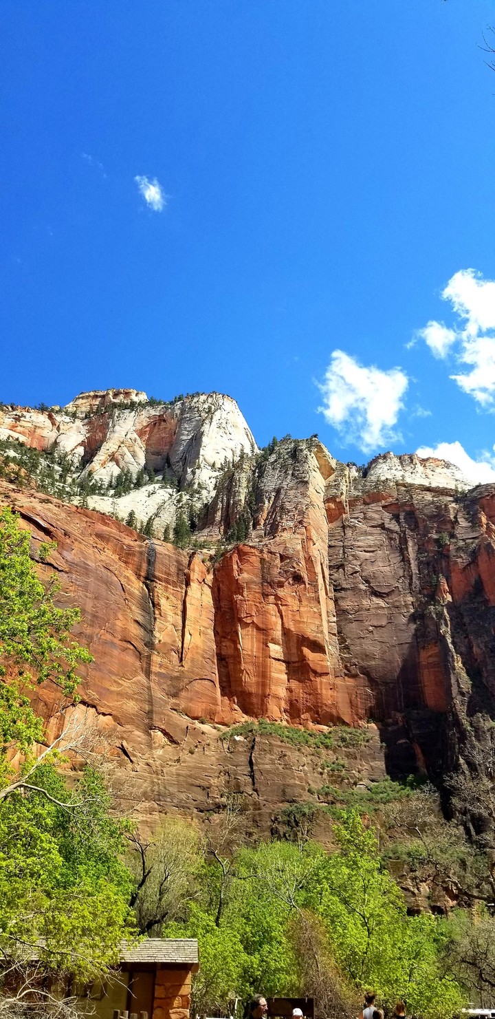 Mountain side