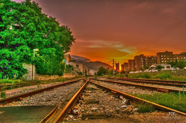 Train