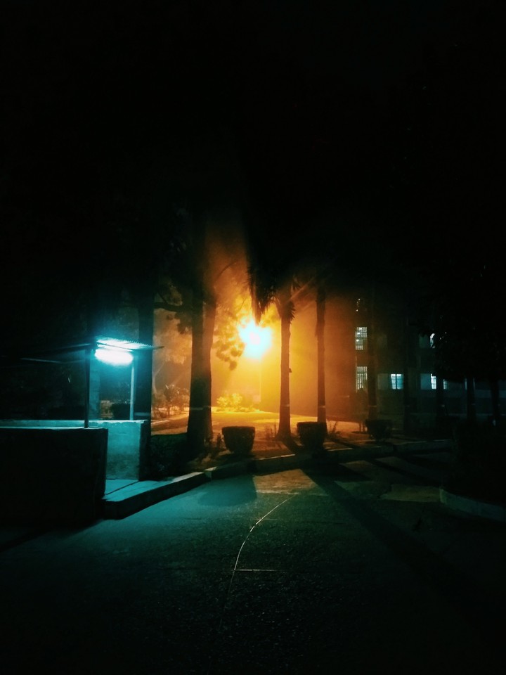 light in winters darkness