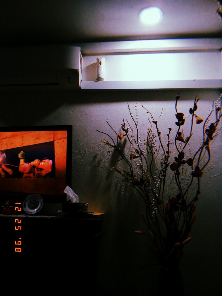 ✨
