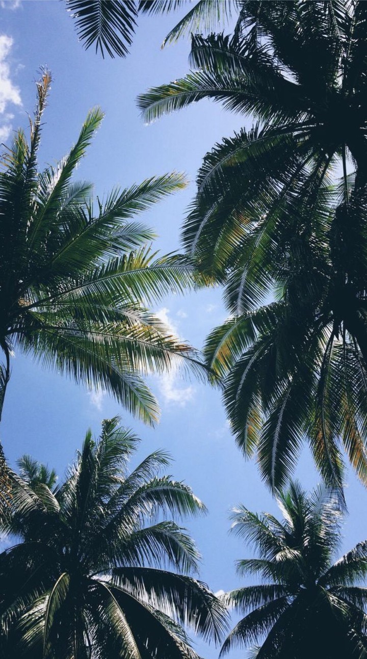 blue sky