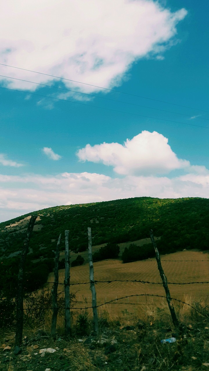 Manzara