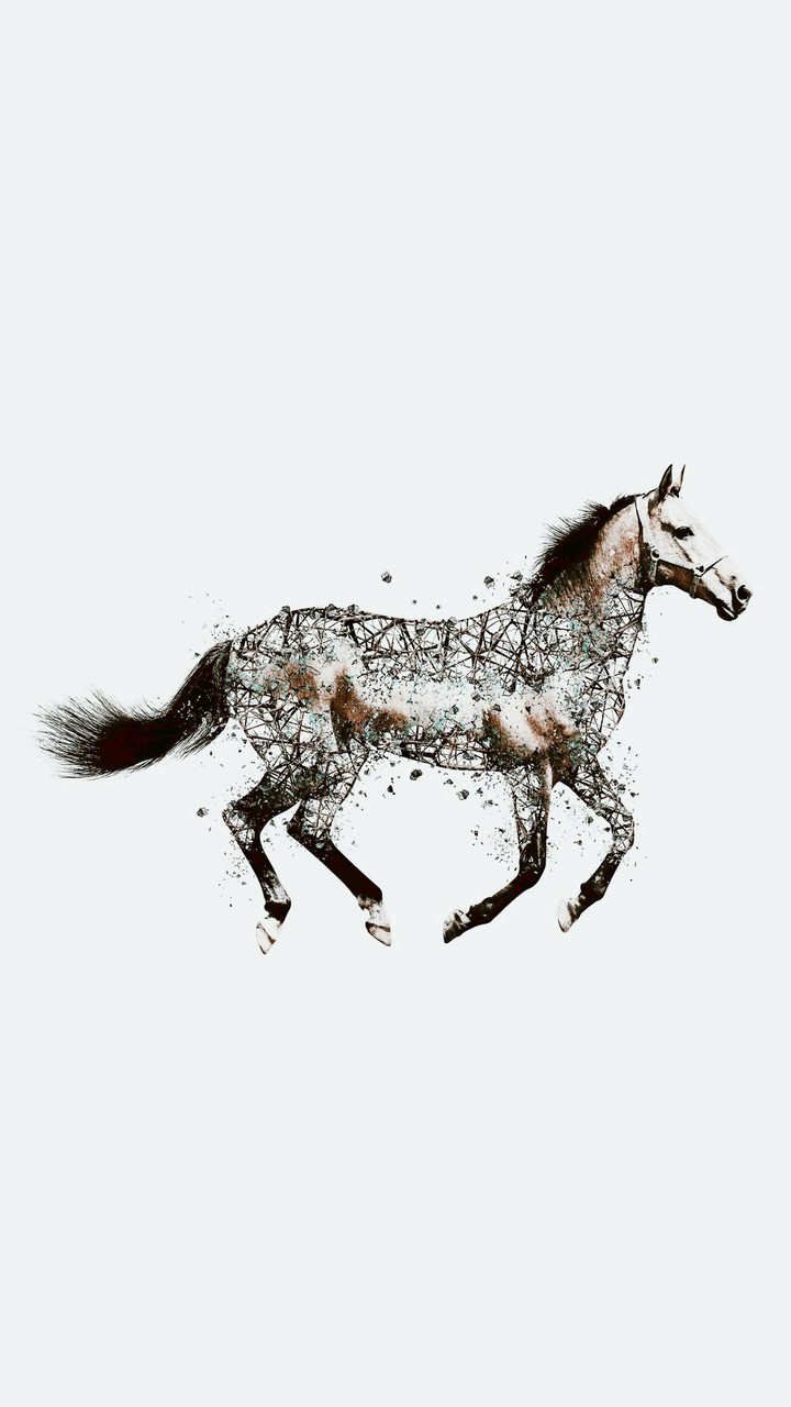 horse