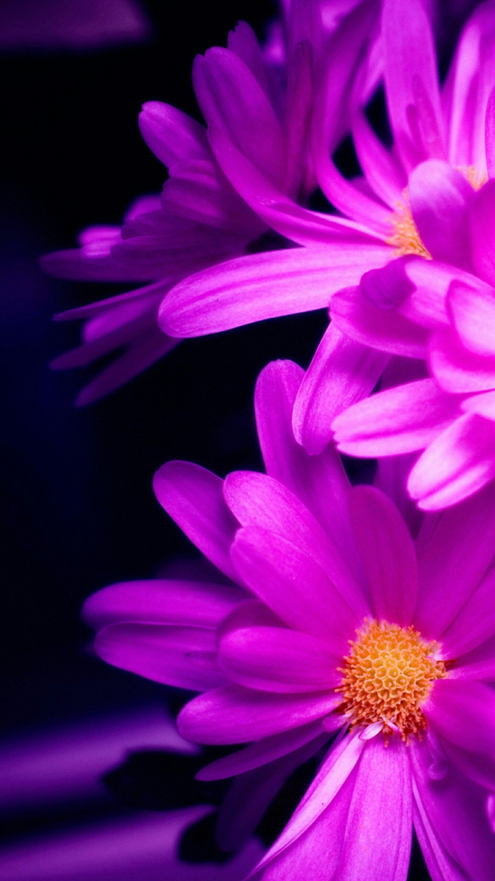 beautiful