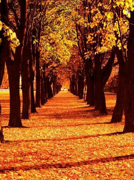 orange alley