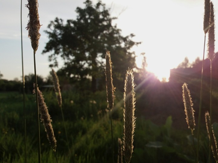 Country Sunset