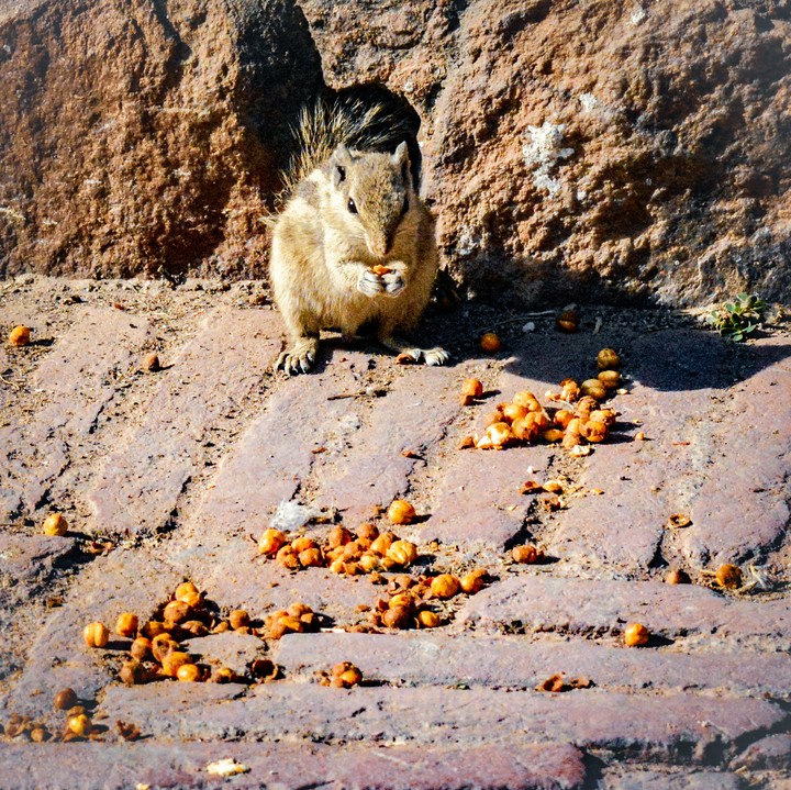 Snack Time