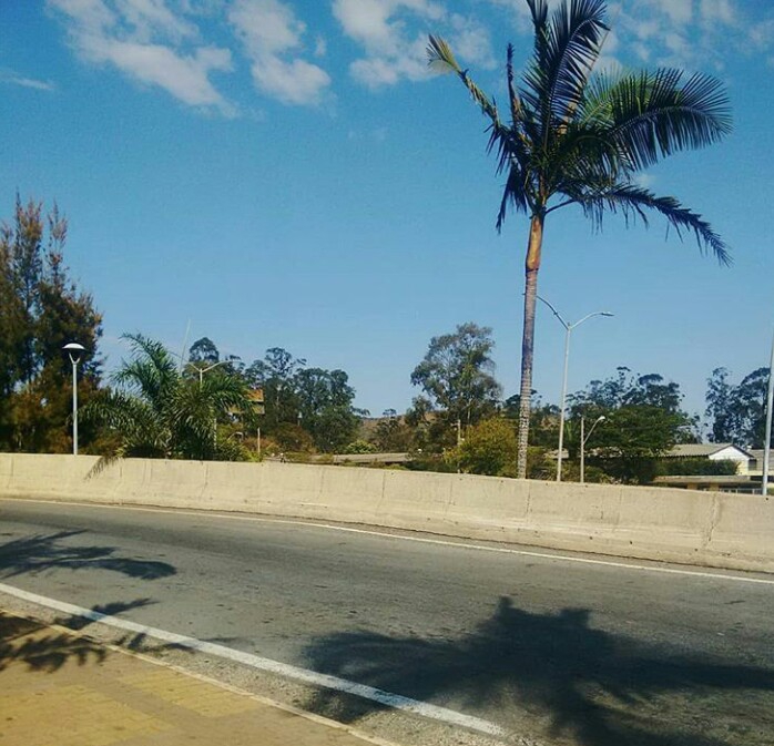 Blue Sky
