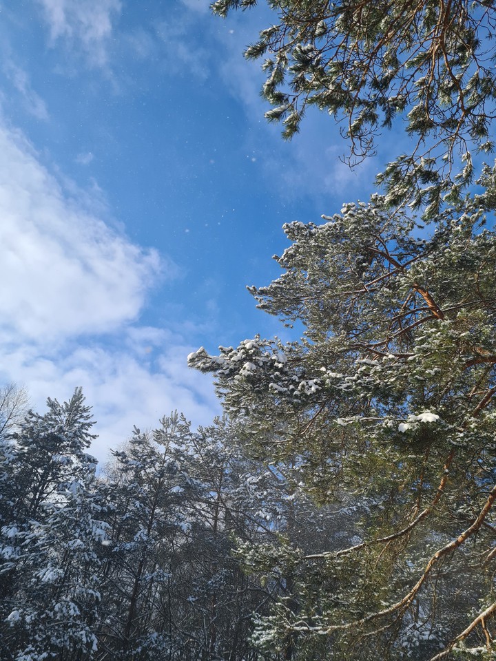 winter sky