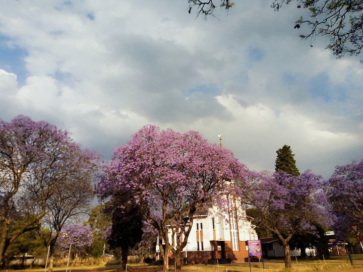 Church