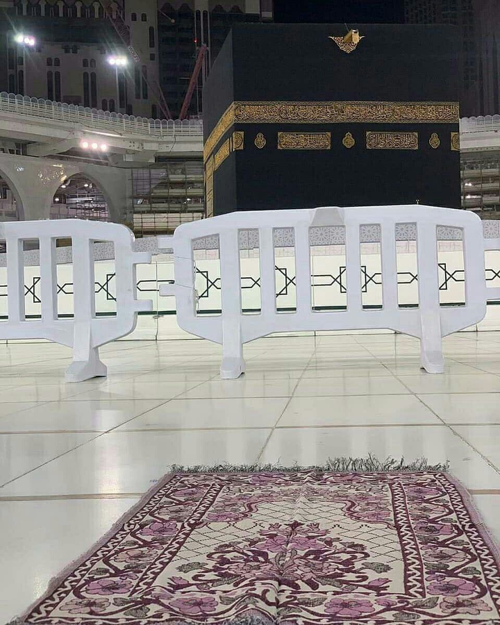 عربي