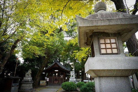 רקעים cottage, shrine