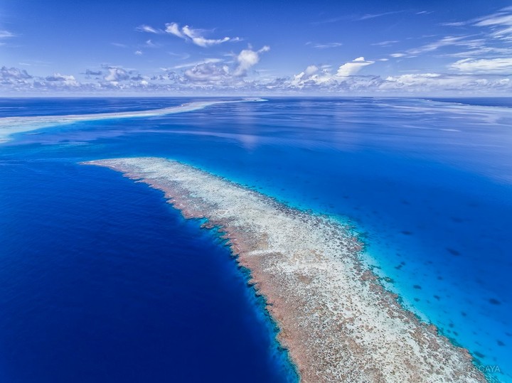 sea