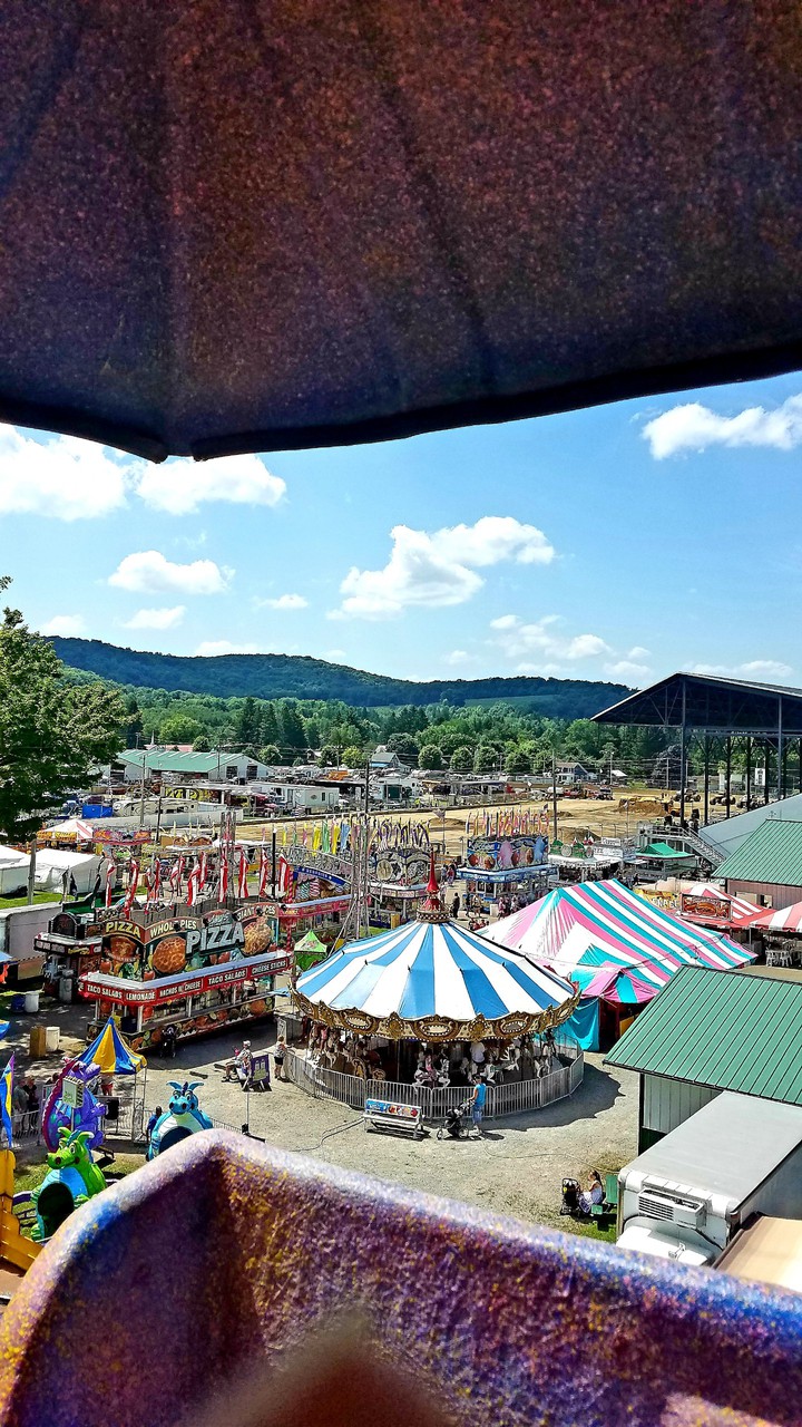 county fair