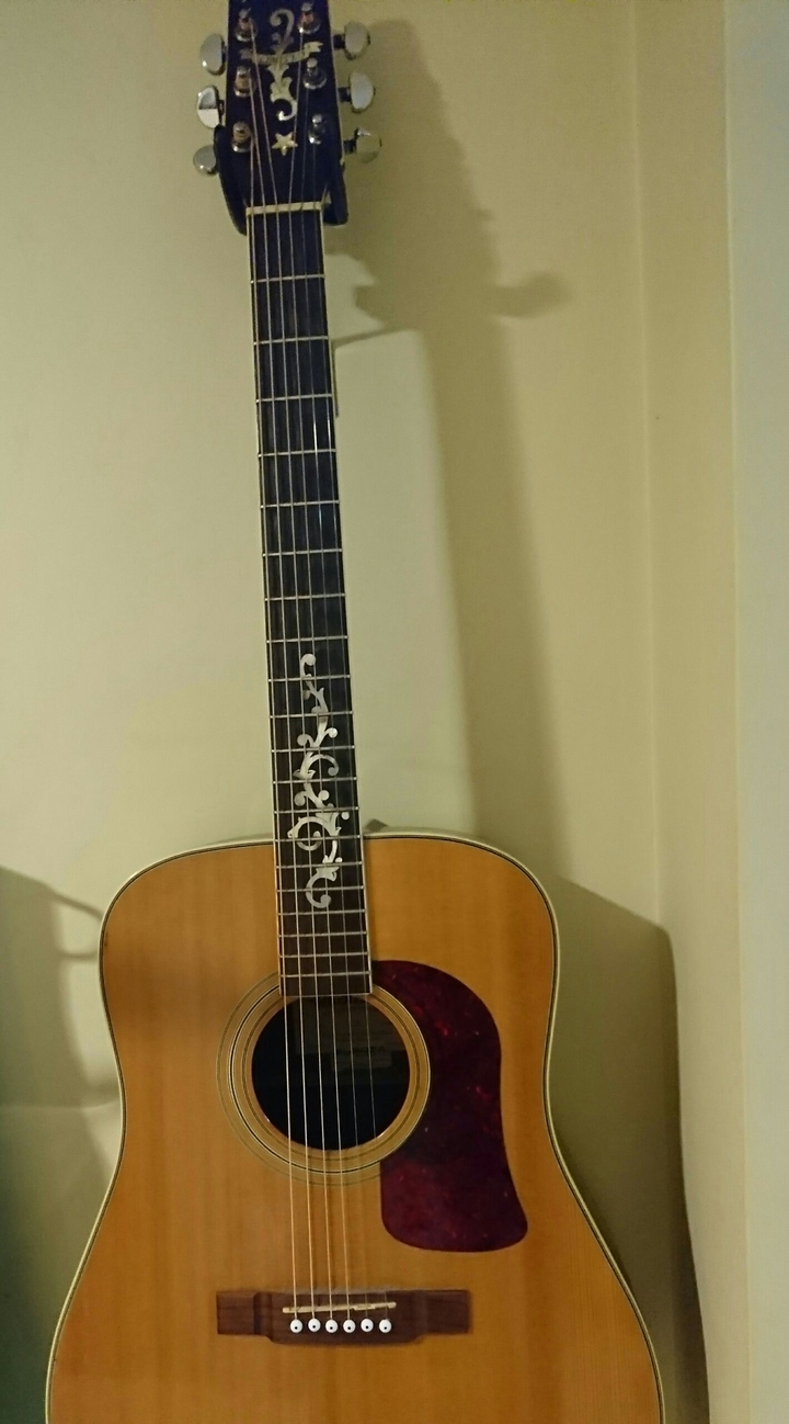 Mi Guitarra