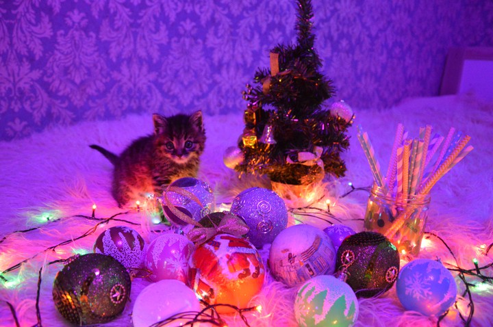 New Year