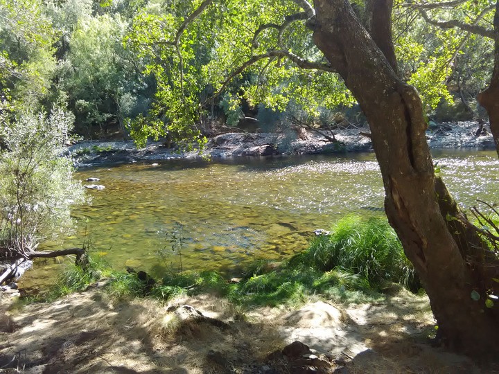 River bank