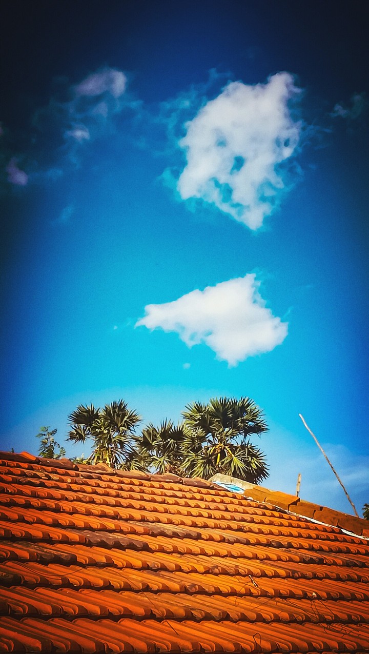 pravin's shot 