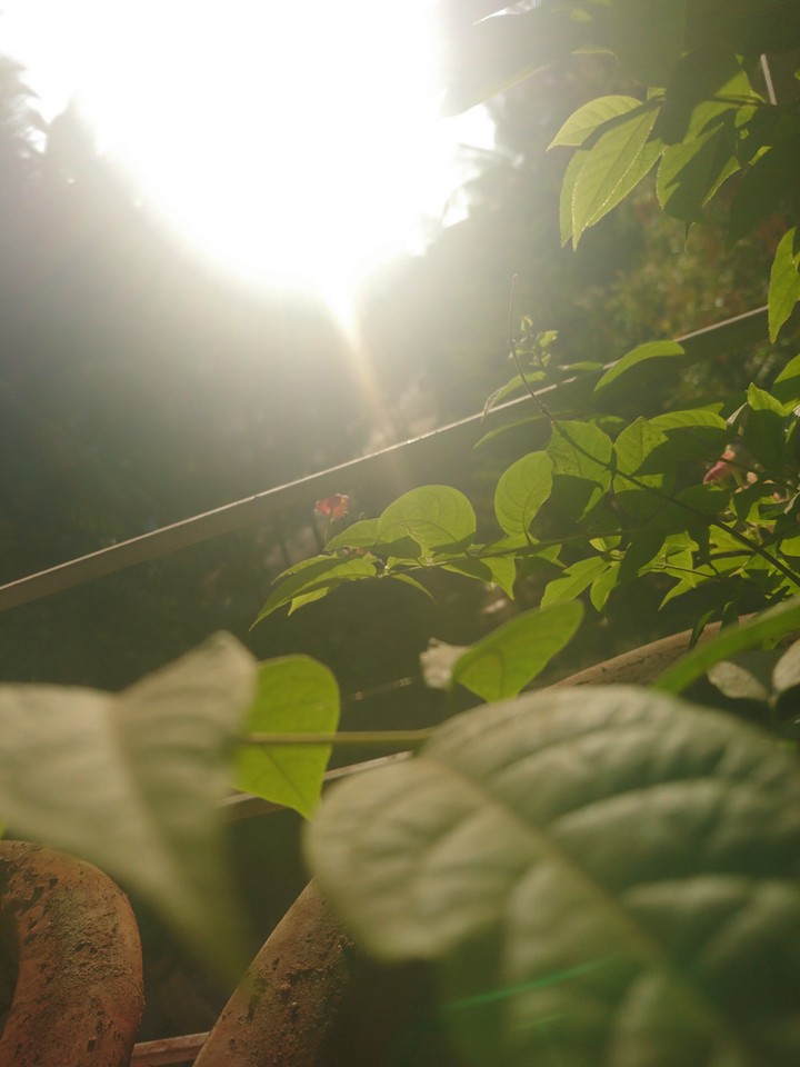 morningvibes#sunshine