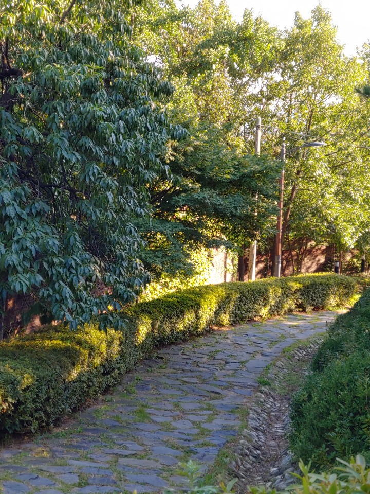 secret path