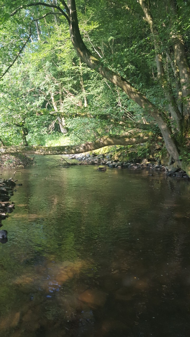 Brölerbach
