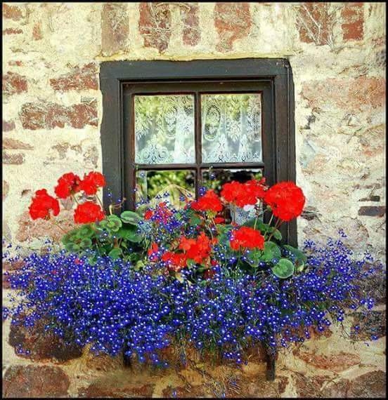 window