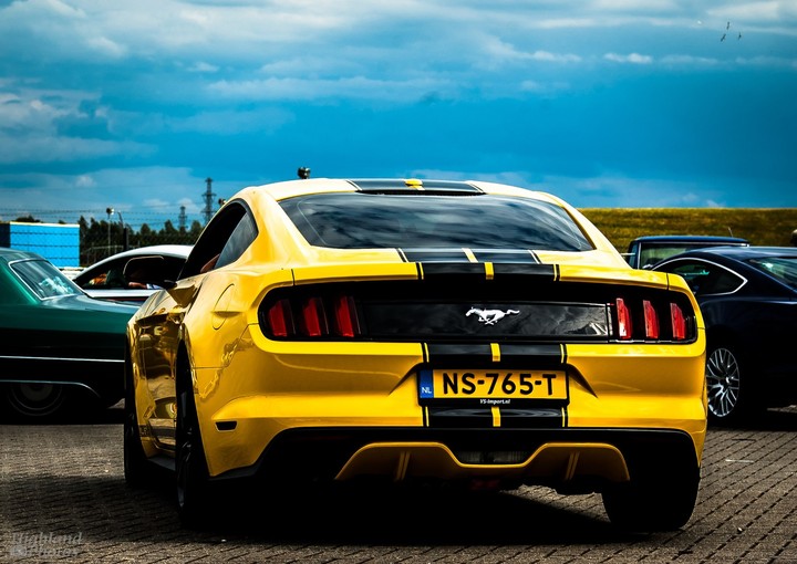 the mustang car