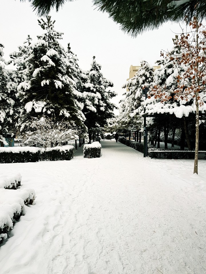ankara