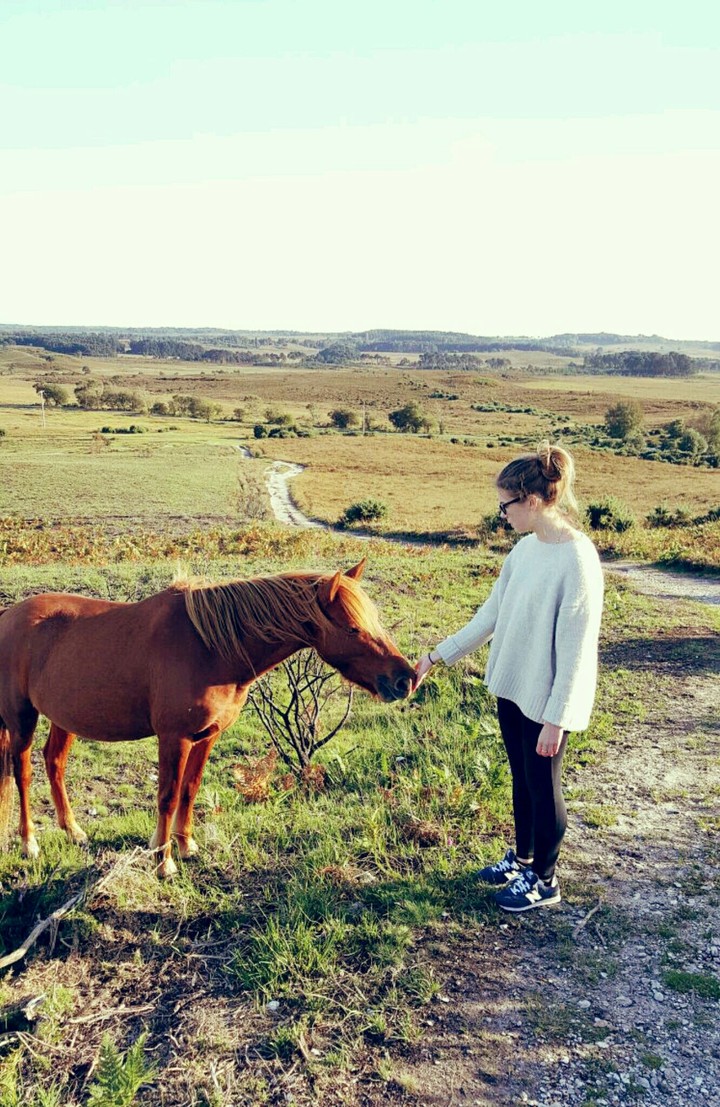 Pony kisses