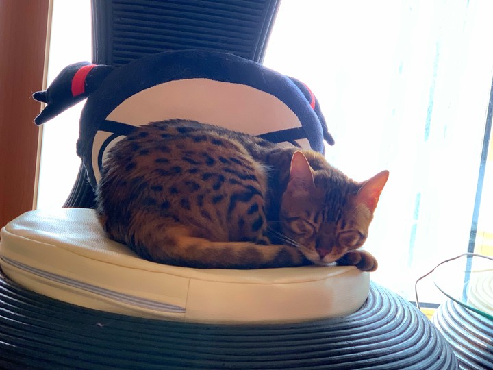 z..zz