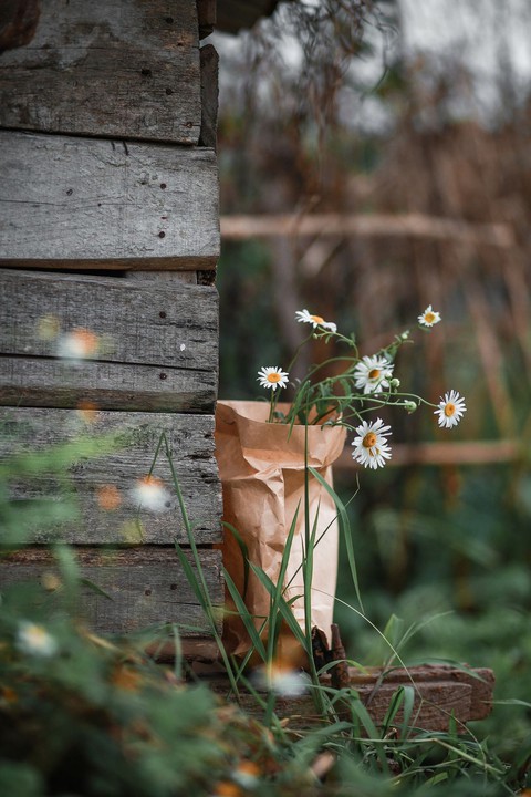 flower's