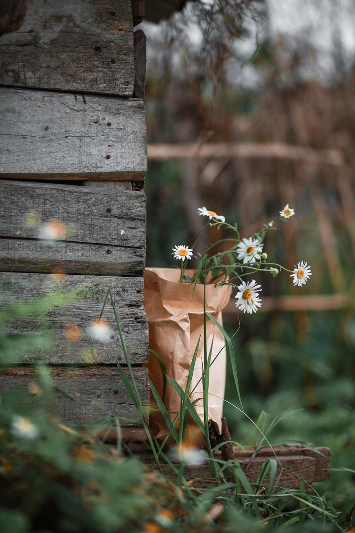 flower's