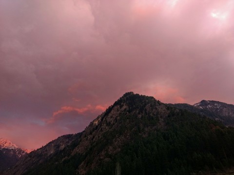 sheer beauty of the evening