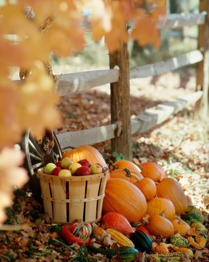 fall