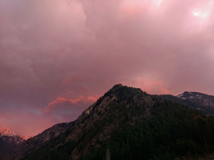 sheer beauty of the evening