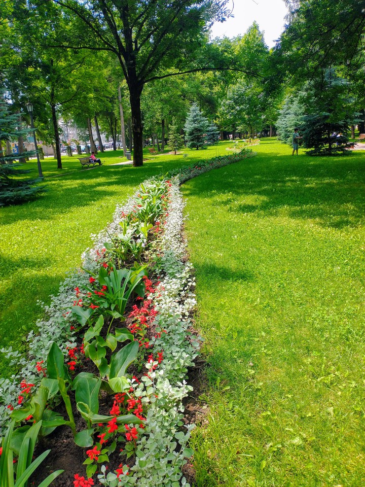 A walk in the park