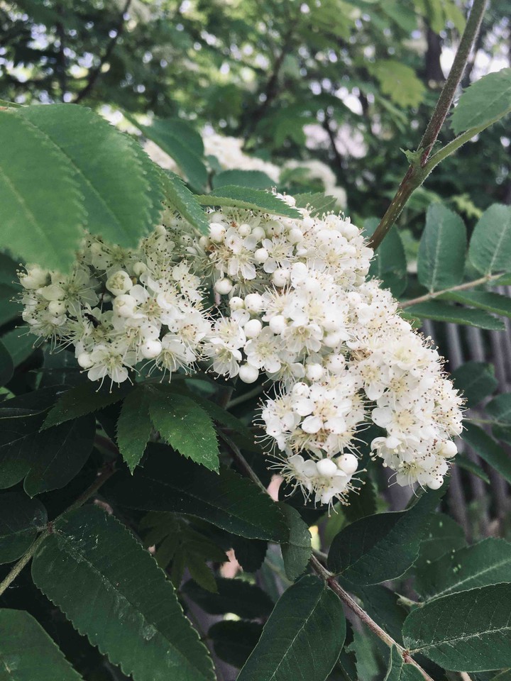 Oh, hello summer