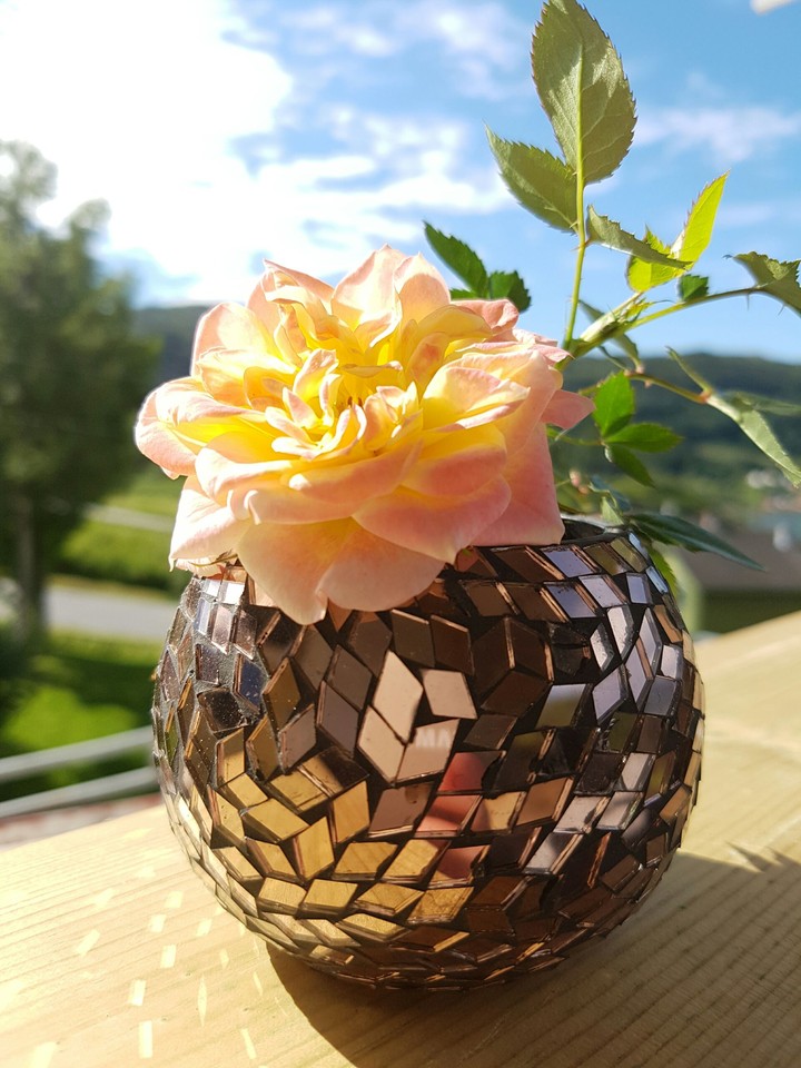 Golden roses
