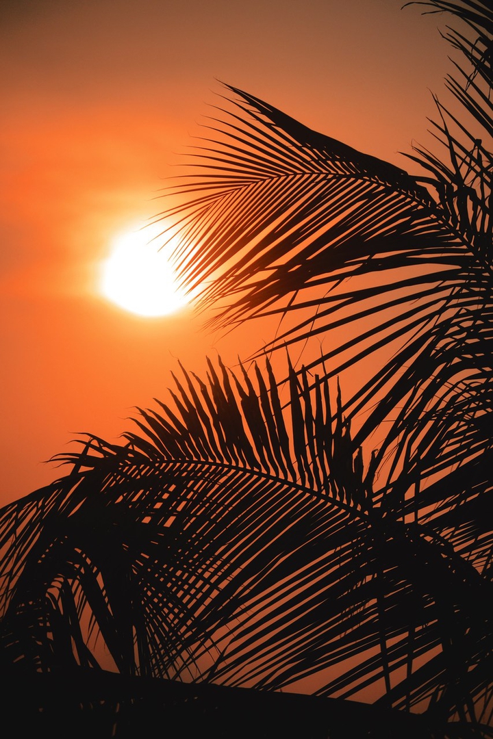 SUN OVER Paradies