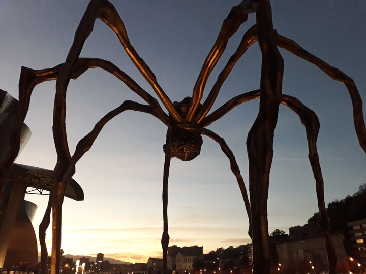 Araña