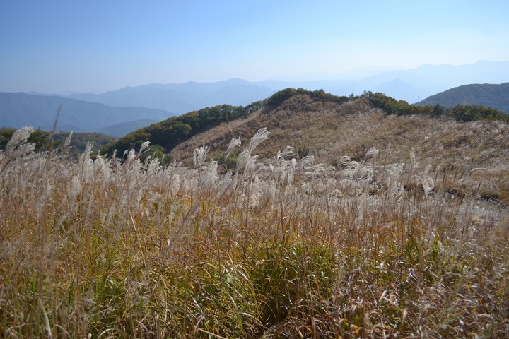 풍경이미지