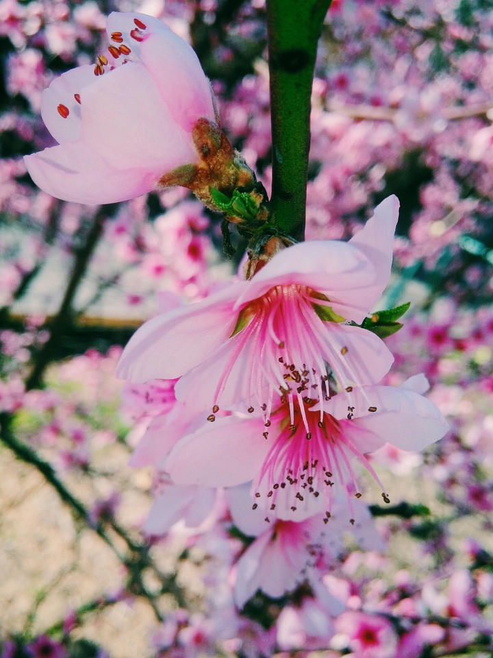 Spring.