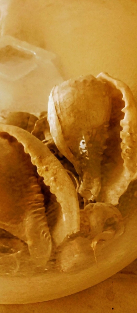Ingredient, soil háttérképek
