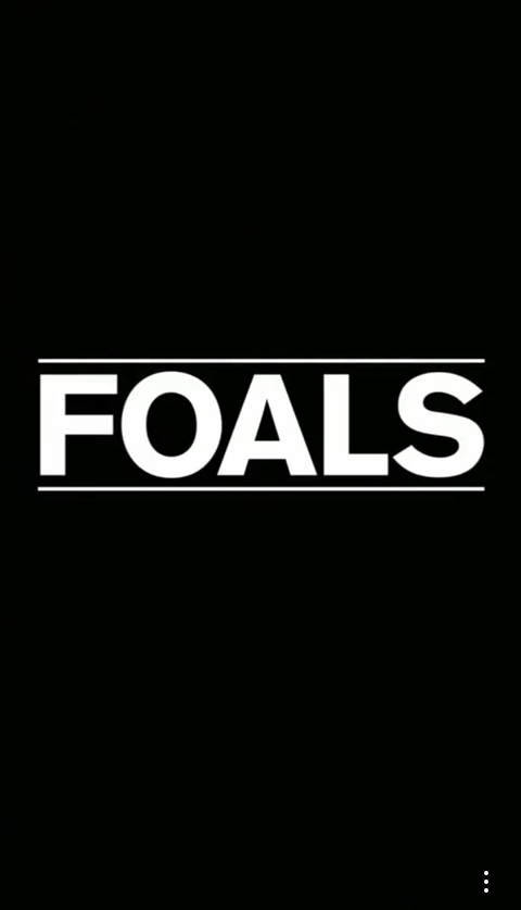 foals