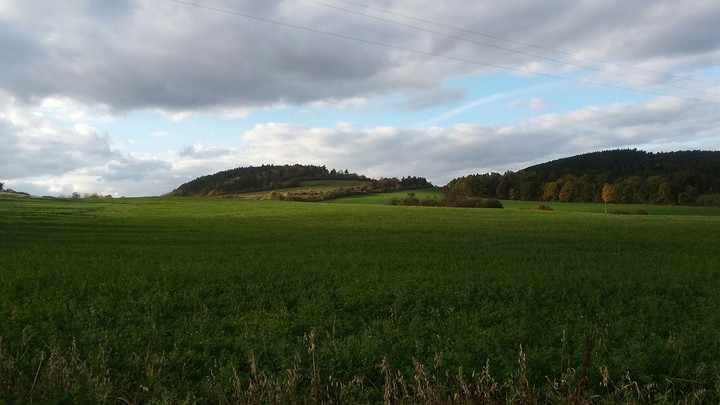 Fields