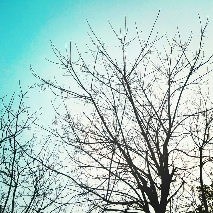 sky!!
