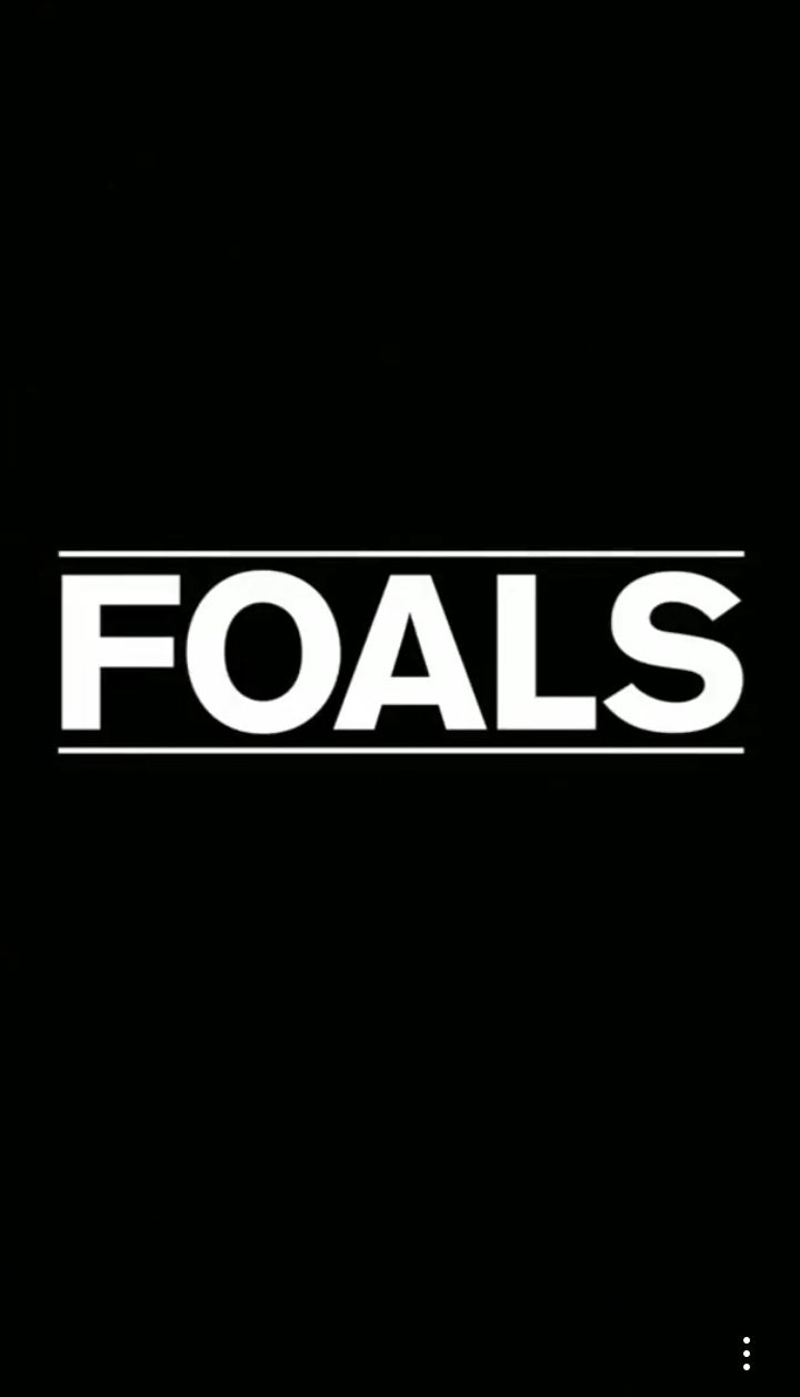 foals