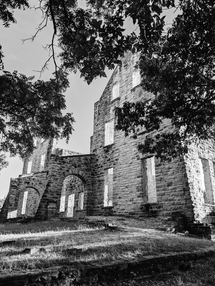 Castle among the trees