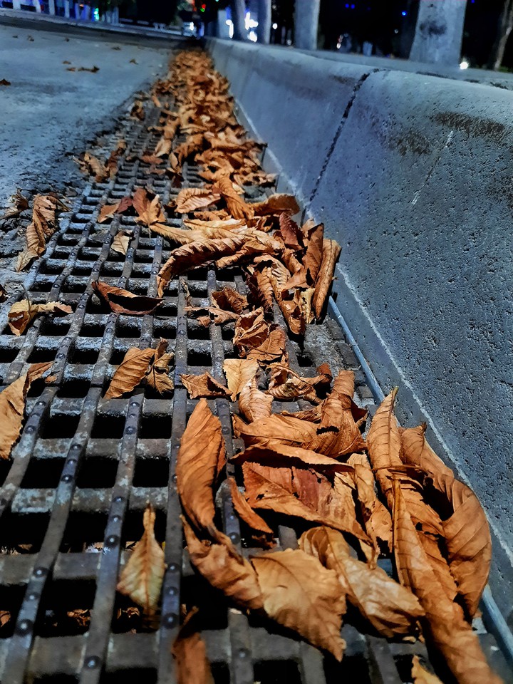 autumn