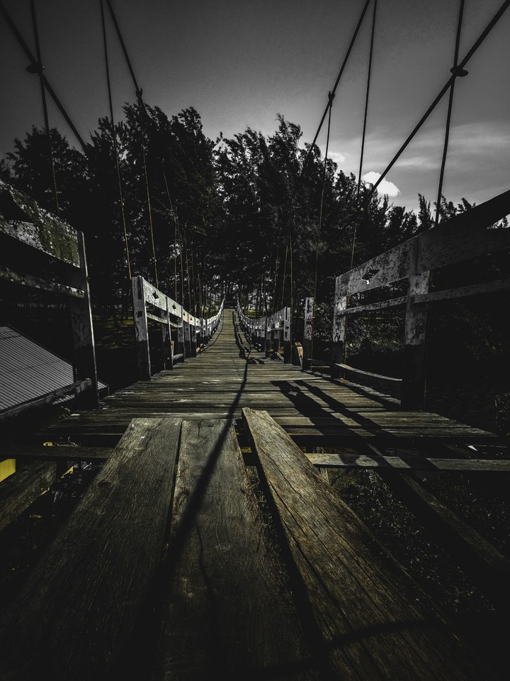 bridge